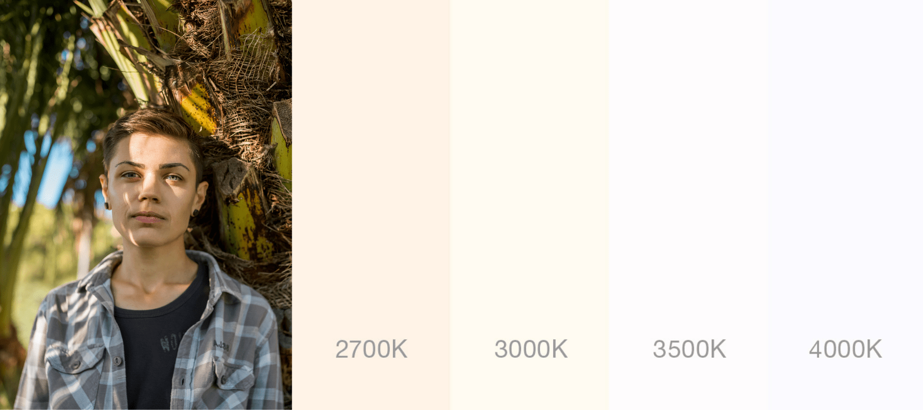 Fifty Shades of White: On Being a Trans Latina