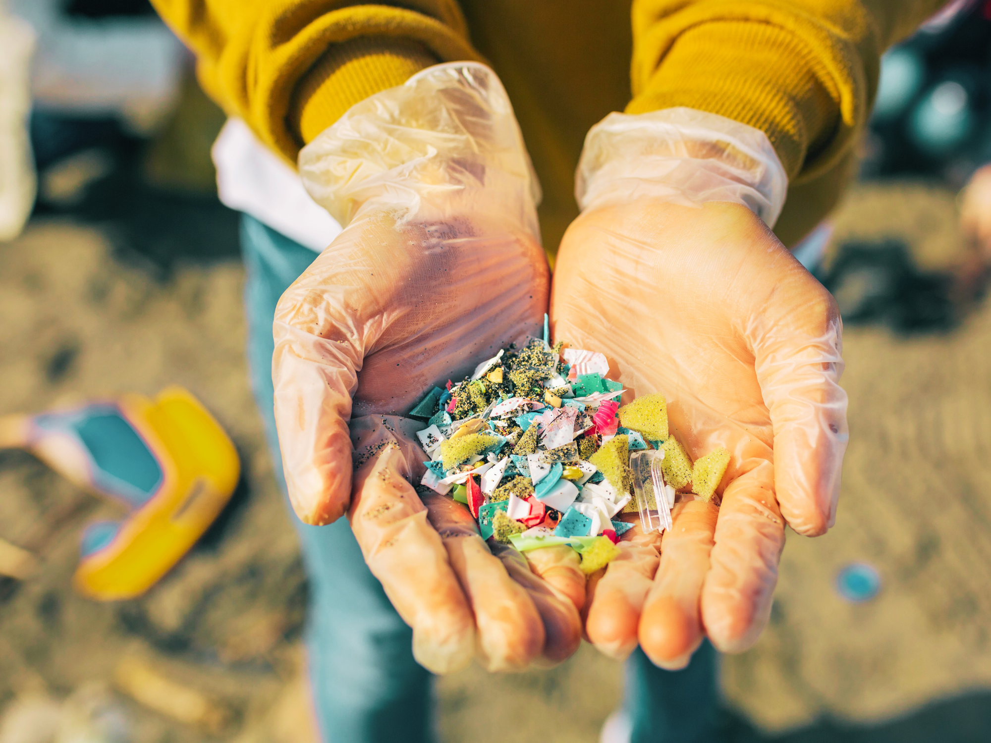 Microplastics in Food: What Latino Families Should Know About Exposure and Health