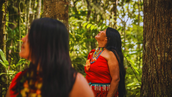 Ecofeminism in Latin America: How Latinas And Indigenous Women Are Leading Climate Justice in 2025
