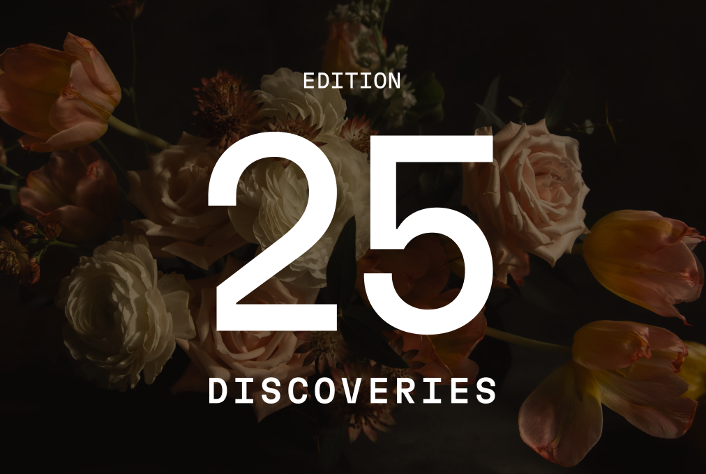 Discoveries #25 | Where Fulfillment Actually Lives