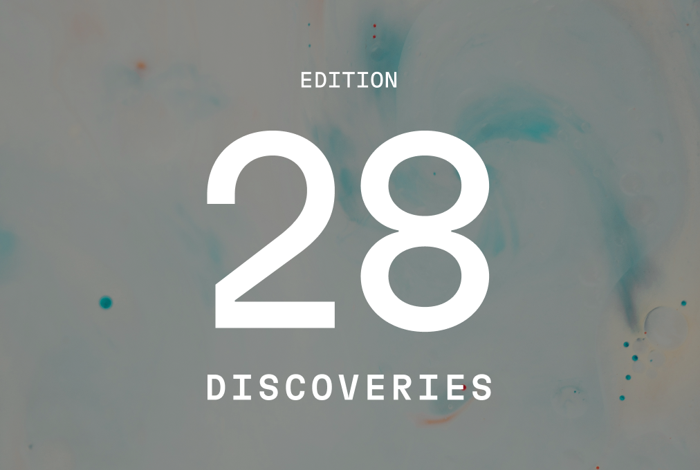 Discoveries #28 | Why 65% of Co-Founders Fail
