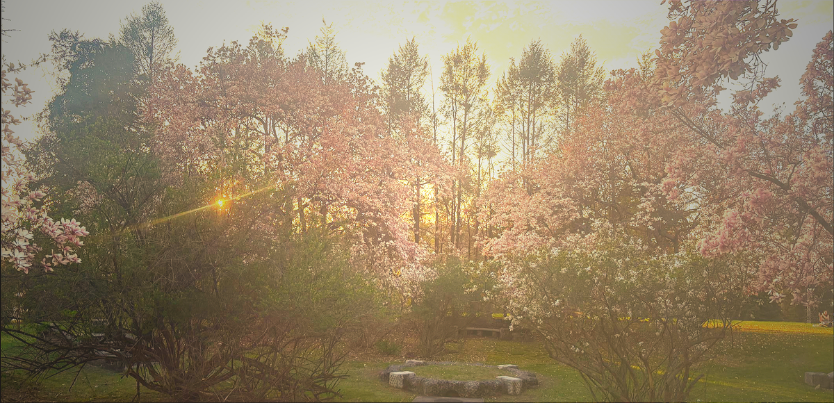 two poems about her