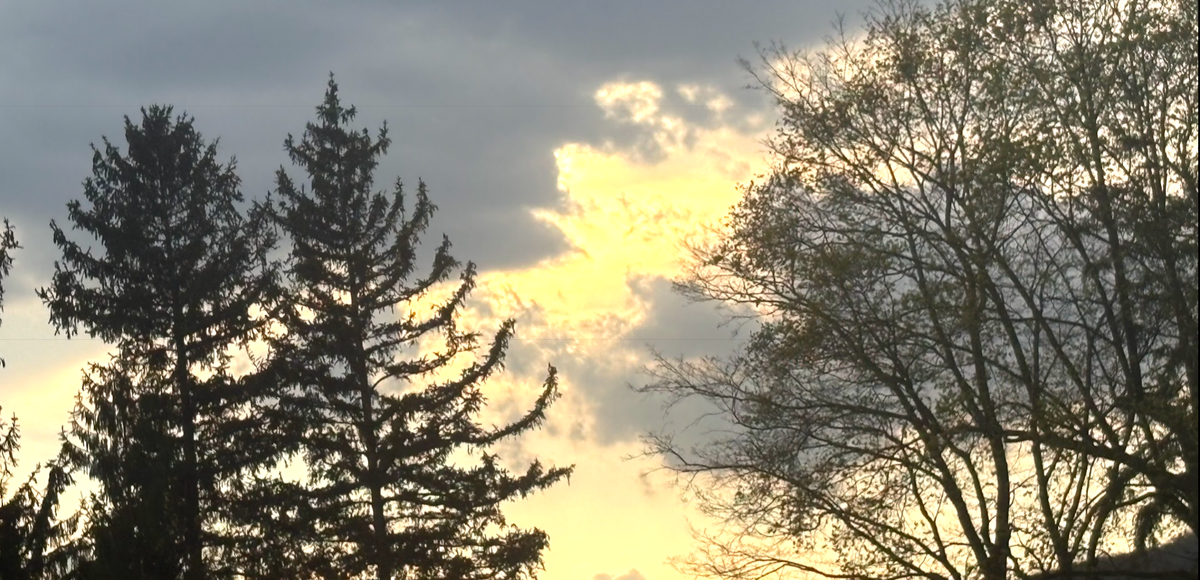 fifteen hours after deleting my rapist from my iphone i remember that it is springtime