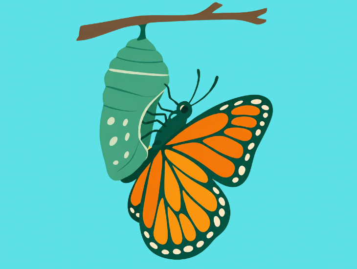 frostbite in a chrysalis