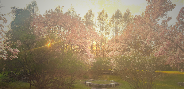 two poems about her