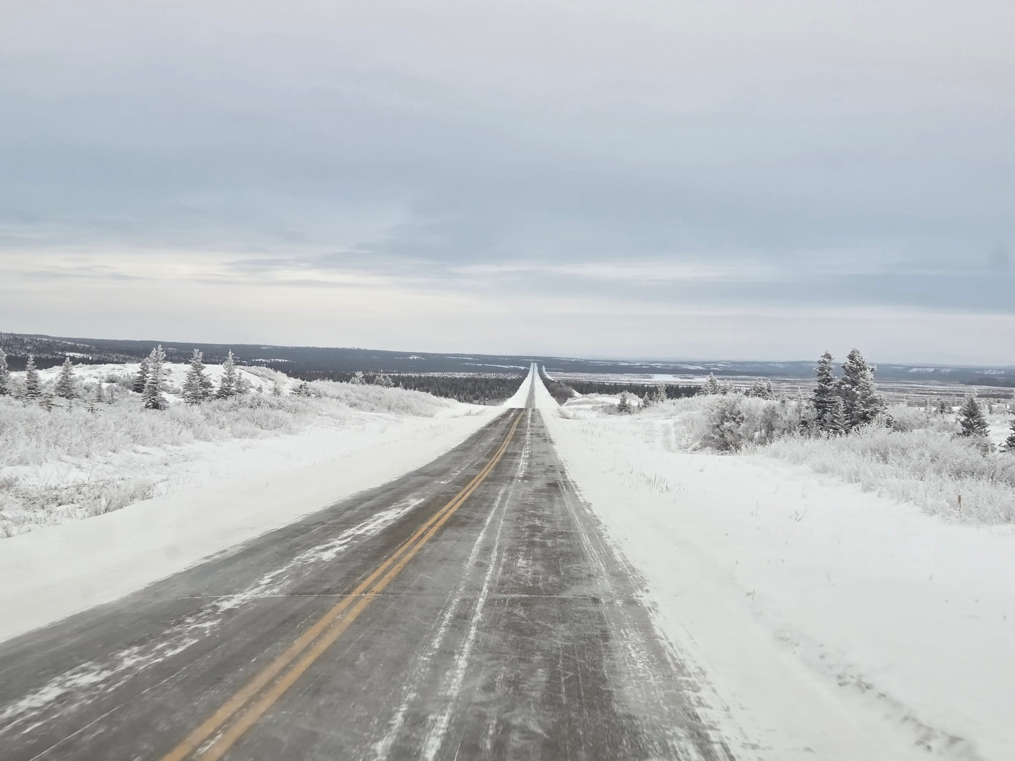 Long straight road with a light layer of snow crossing a flat landscape with scattered snow-covered trees