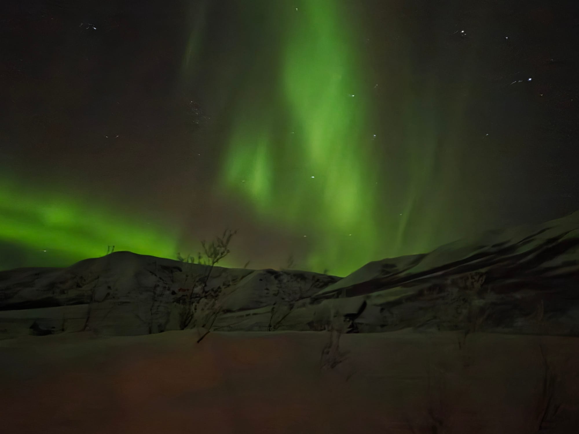 Bright green Northern Lights over a snowy Alaska winter landscape