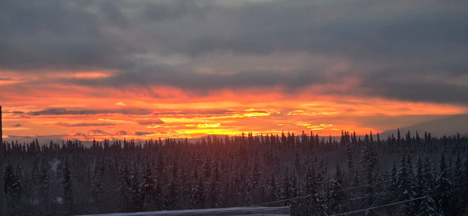 Fiery sunset over snowy spruce forest in Interior Alaska