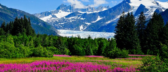 best time to cruise alaska