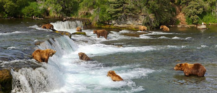 best destinations for wildlife