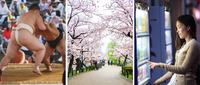 things to do in japan