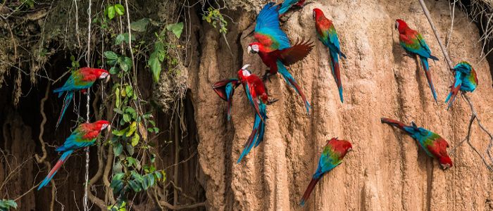 best destinations for wildlife