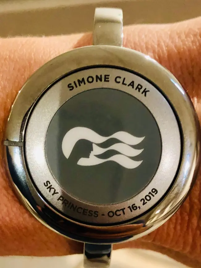 Princess cruises ocean medallion iglu cruise