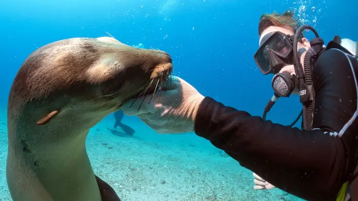 galapagos honeymoon cruise