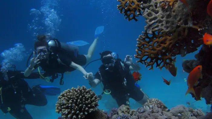 scuba diving virgin voyages excursion