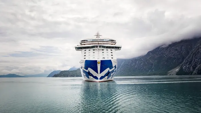 princess cruises fleet