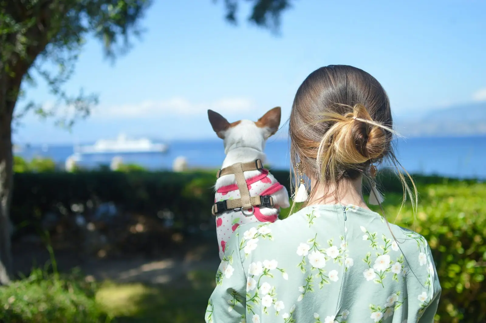 Lady and her dog looking out at ship