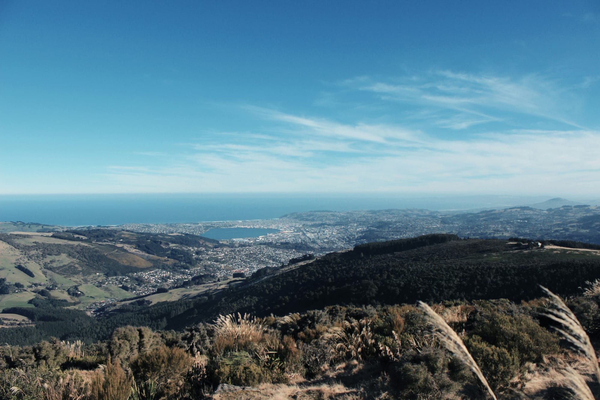 A hilltop in Dunedin, New Zealand