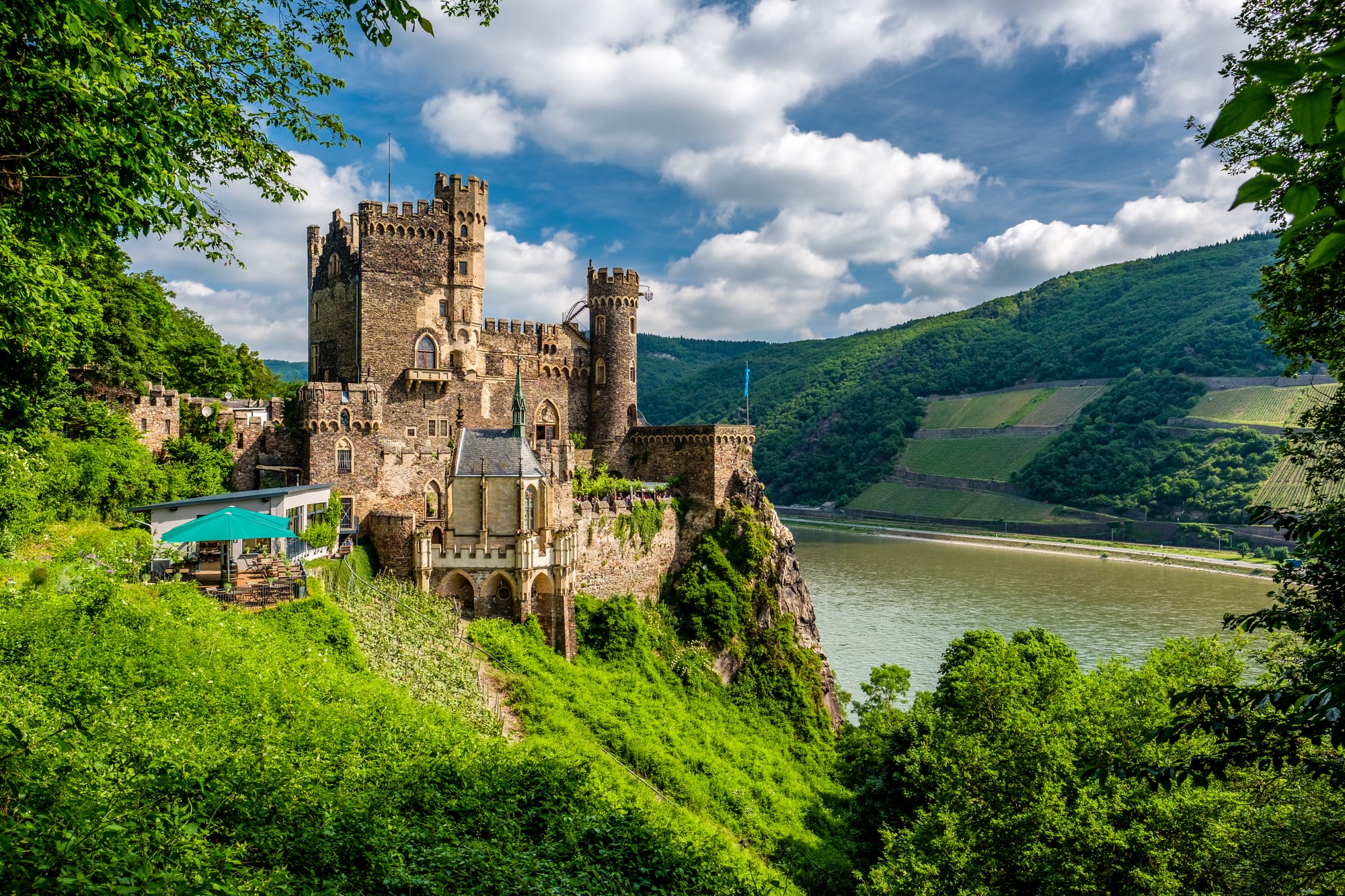 An image of a medieval castle overlooking the Rhine River, surrounded by vibrant woodland