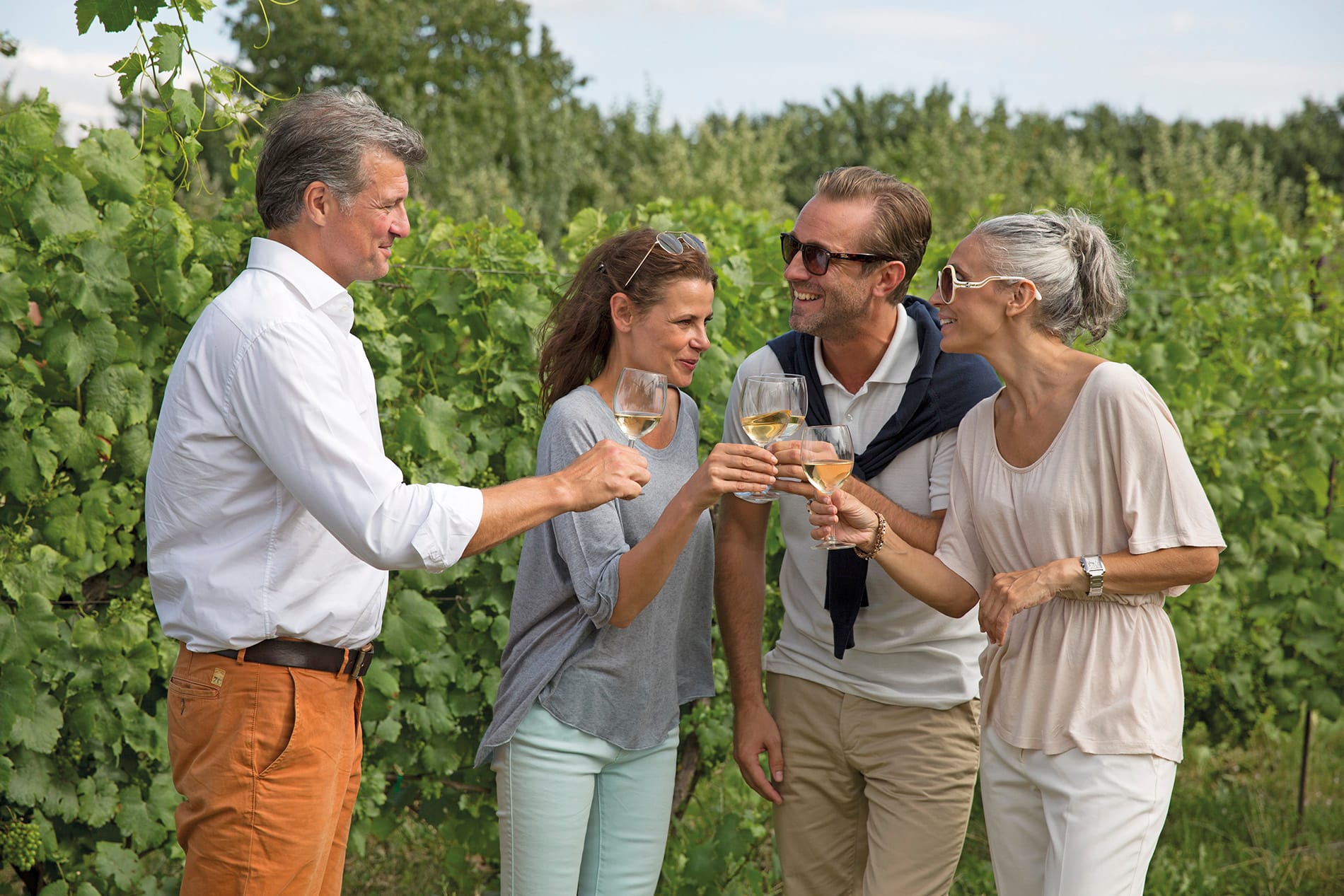 Four white people, an older couple and a younger couple, sipping white wine in a vineyard