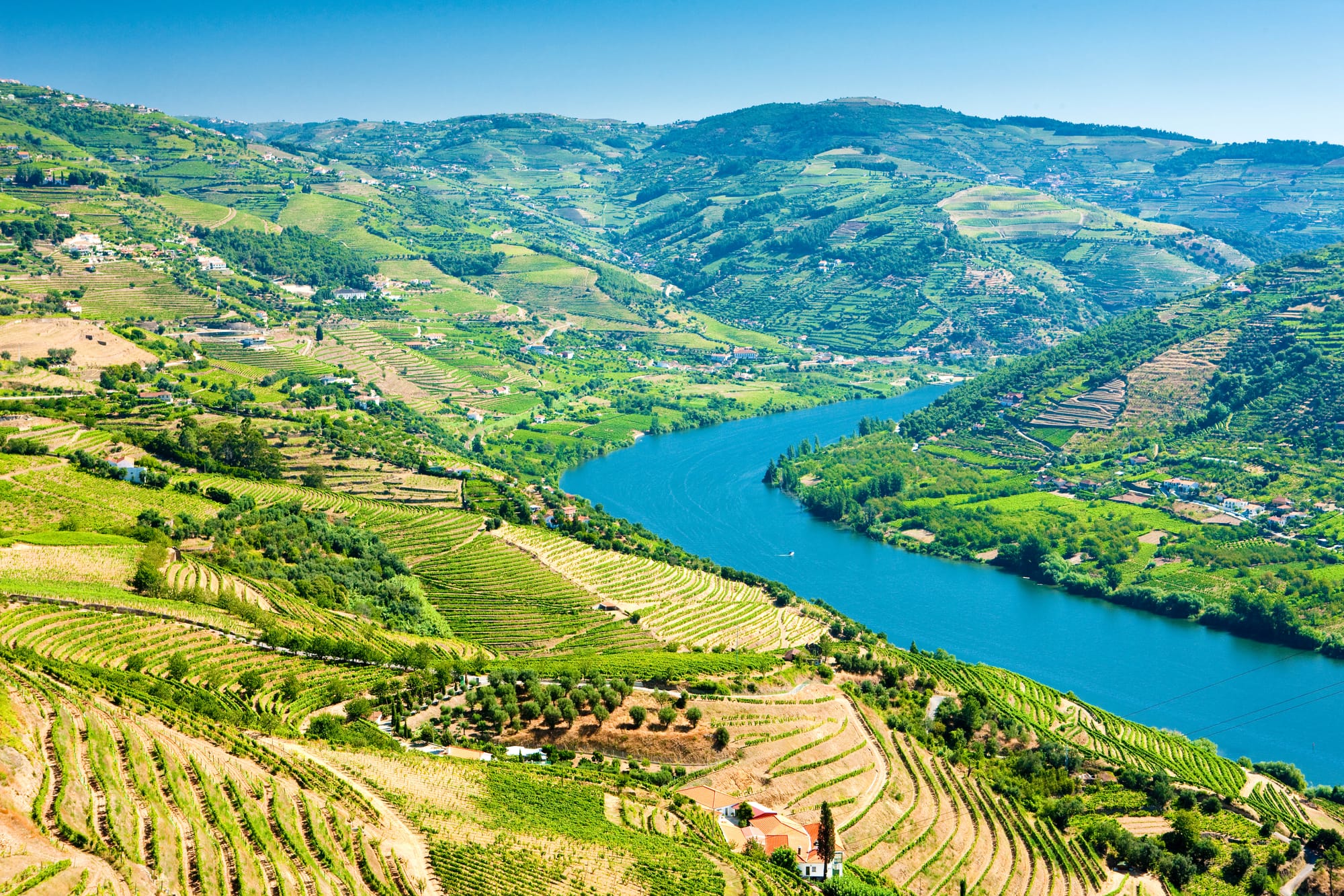 Vineyard-covered hills in the Douro Valley on a sunny day