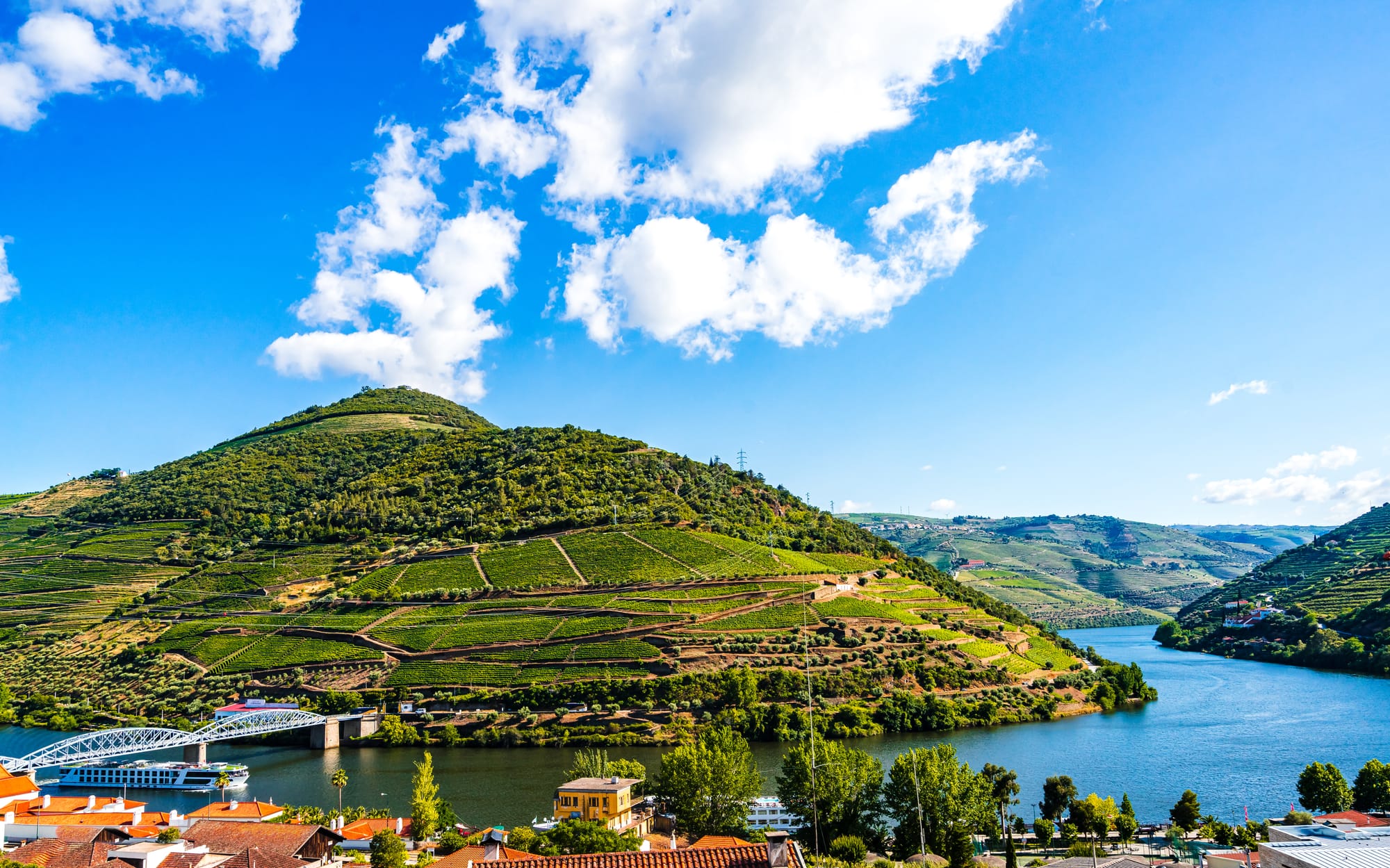Vineyard-covered hills from Pinhao, overlooking the Douro
