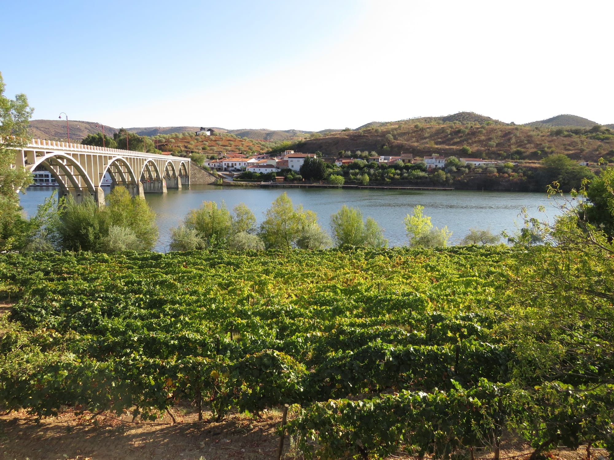 An image of a small Portuguese town over the Douro from a vineyard