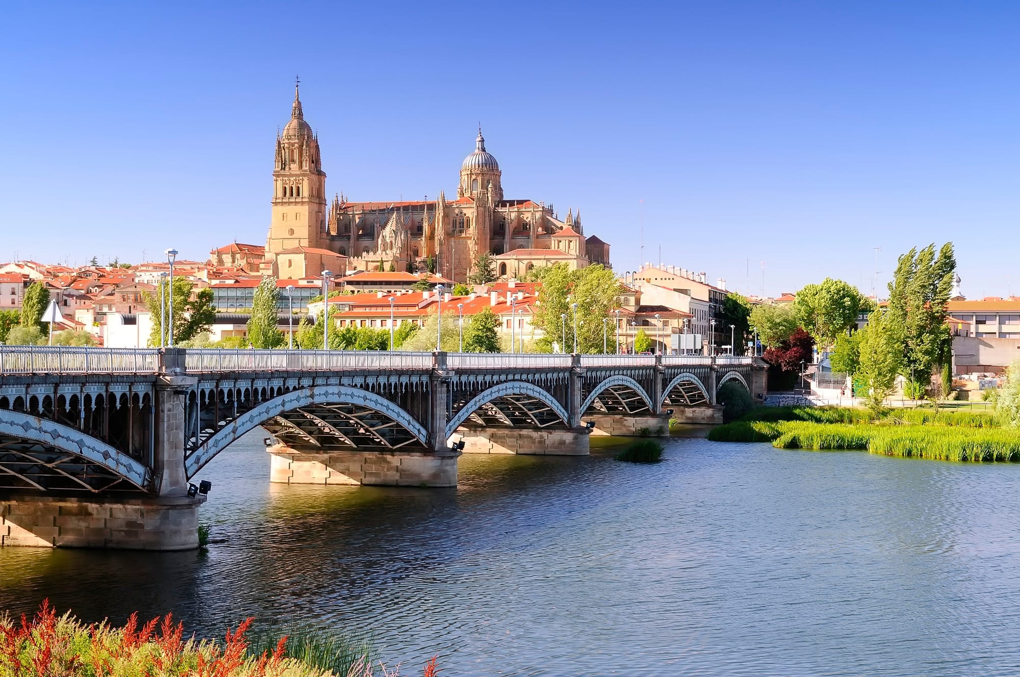 Salamanca cathedral on a sunny day with a bridge over the Douro in the foreground
