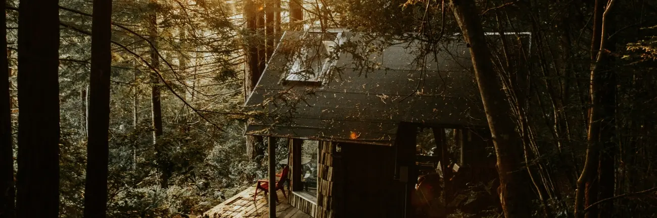 Cabin in the forest