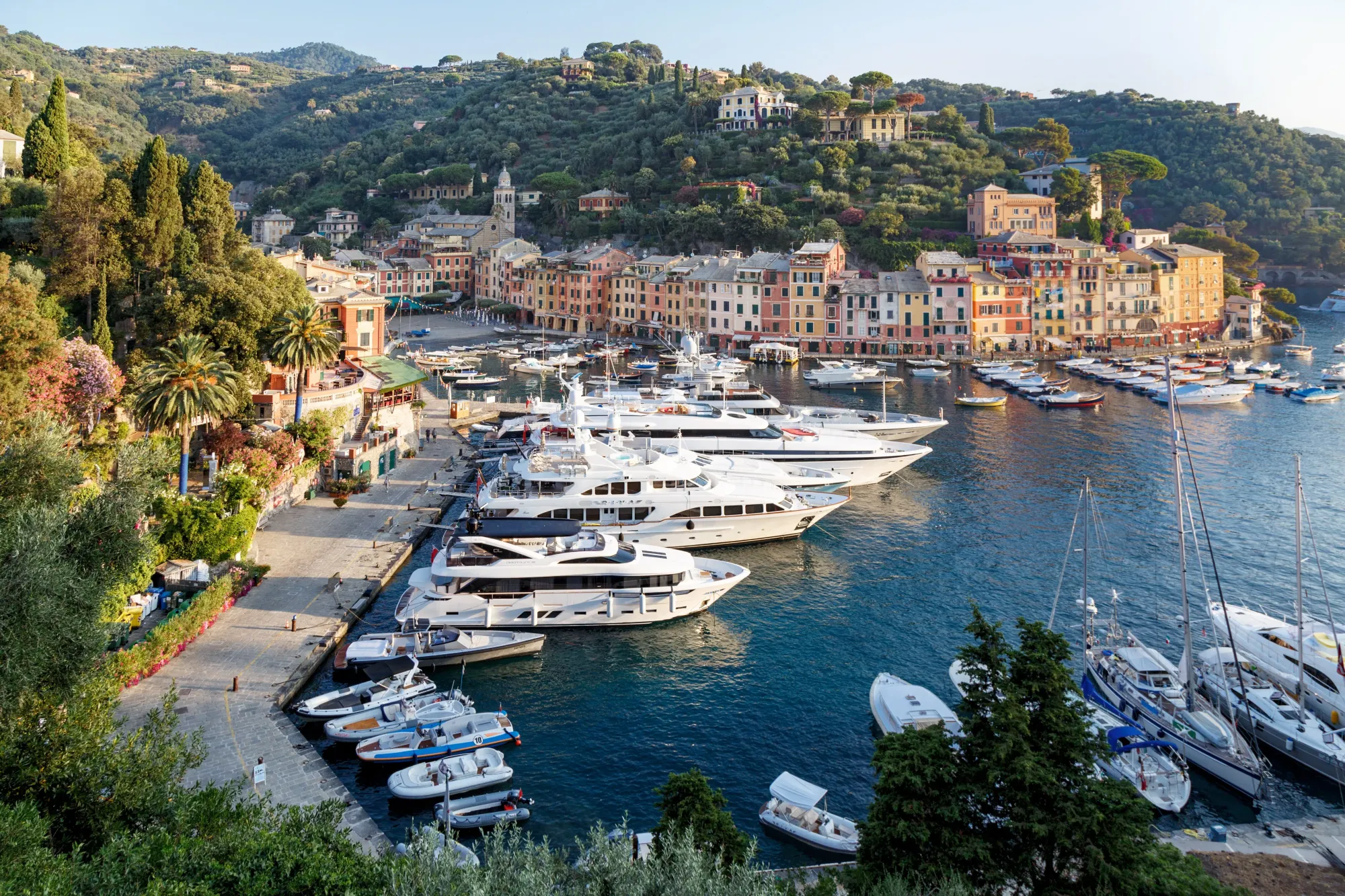 2028 cruise travel trends