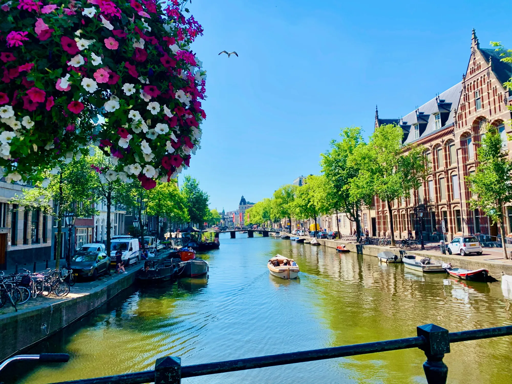 European cruises in 2029