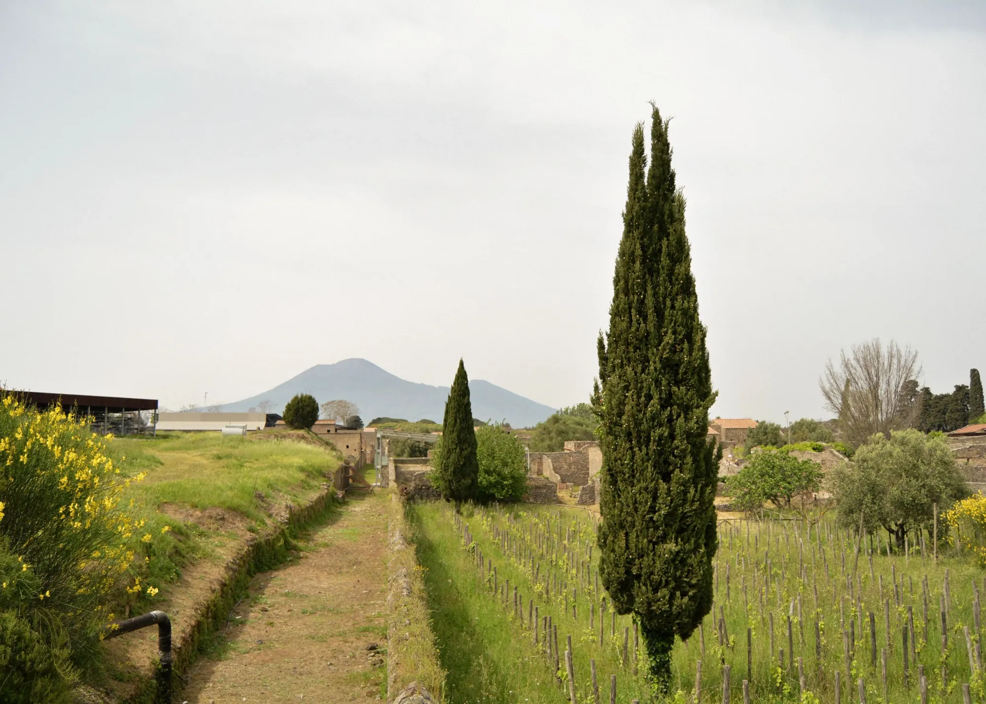 Italian wine region