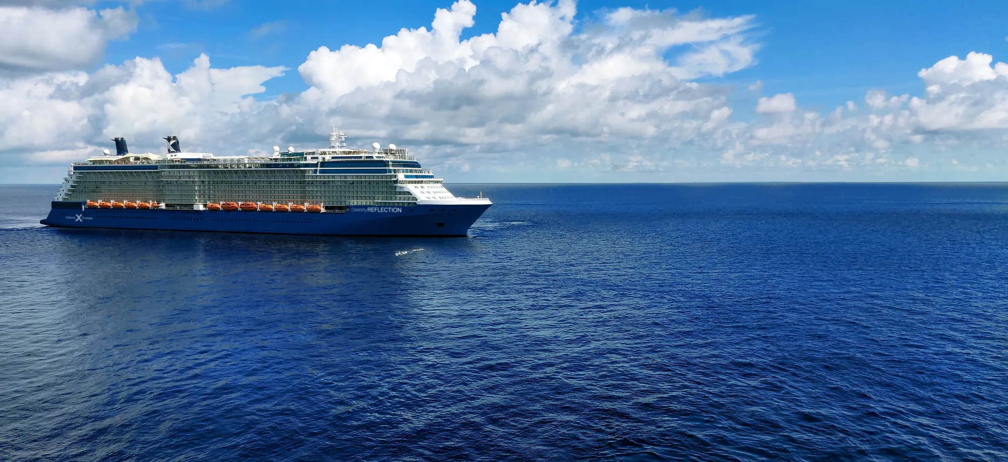 Celebrity Reflection