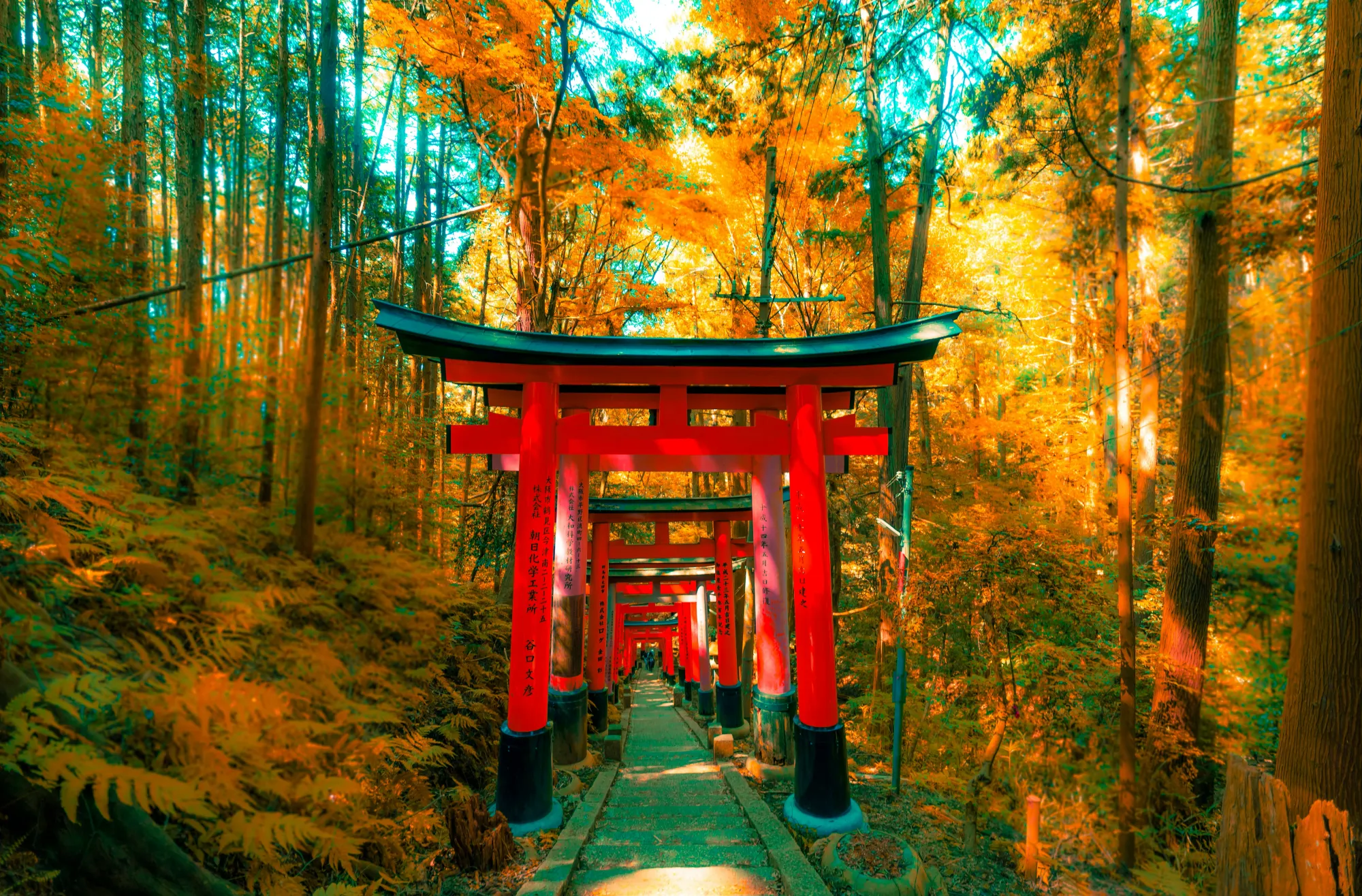 Kyoto - Japan