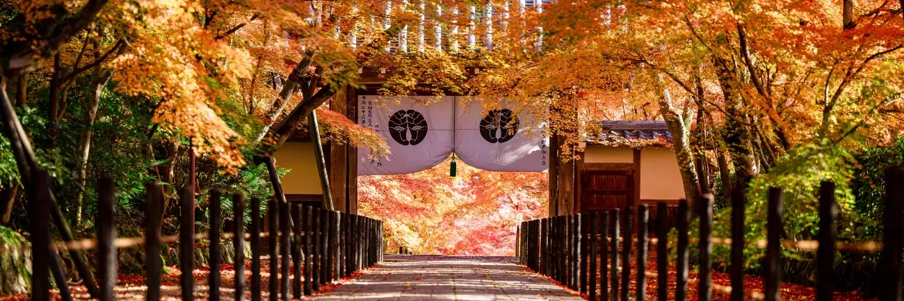 The 10 top global destinations for autumn colours