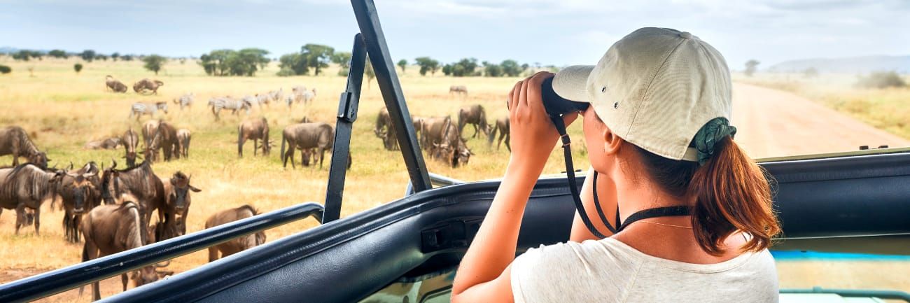 Handcrafted holidays: top cruise tour packages you won’t want to miss