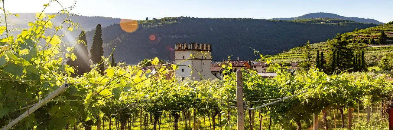 The top 10 vineyards in Europe