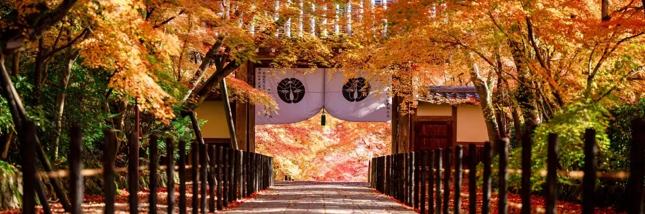 The 10 top global destinations for autumn colours