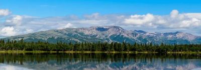 Are Cruise Lines Becoming Greener?