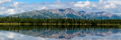 Top 10 Alaska Shore Excursions