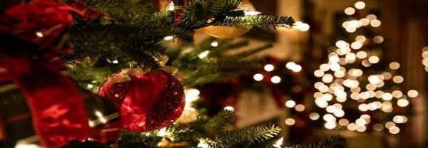 Image related to Luxury Christmas Cruising