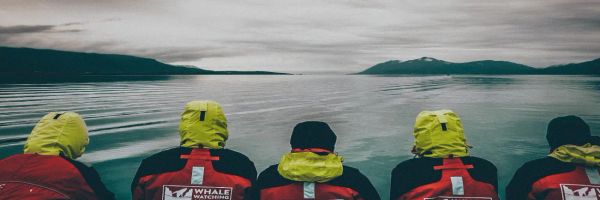 Image related to Best Whale Watching Cruises