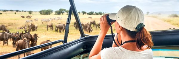 Image related to Handcrafted holidays: top cruise tour packages you won’t want to miss