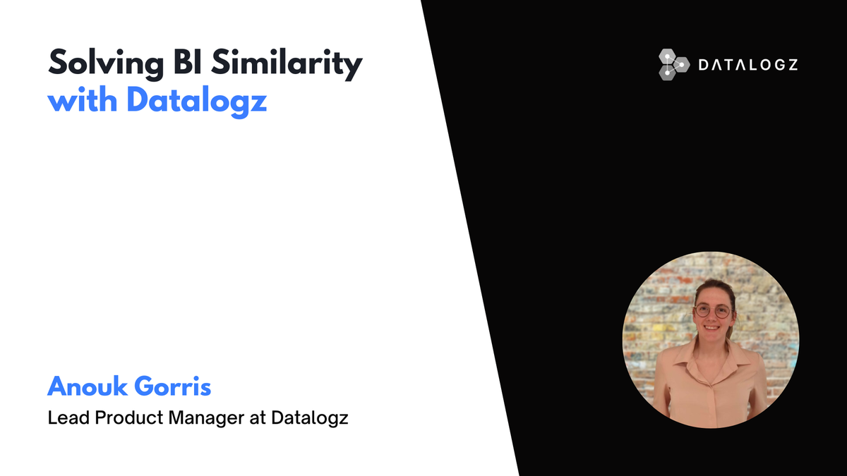 Solving BI Similarity with Datalogz | Anouk Gorris