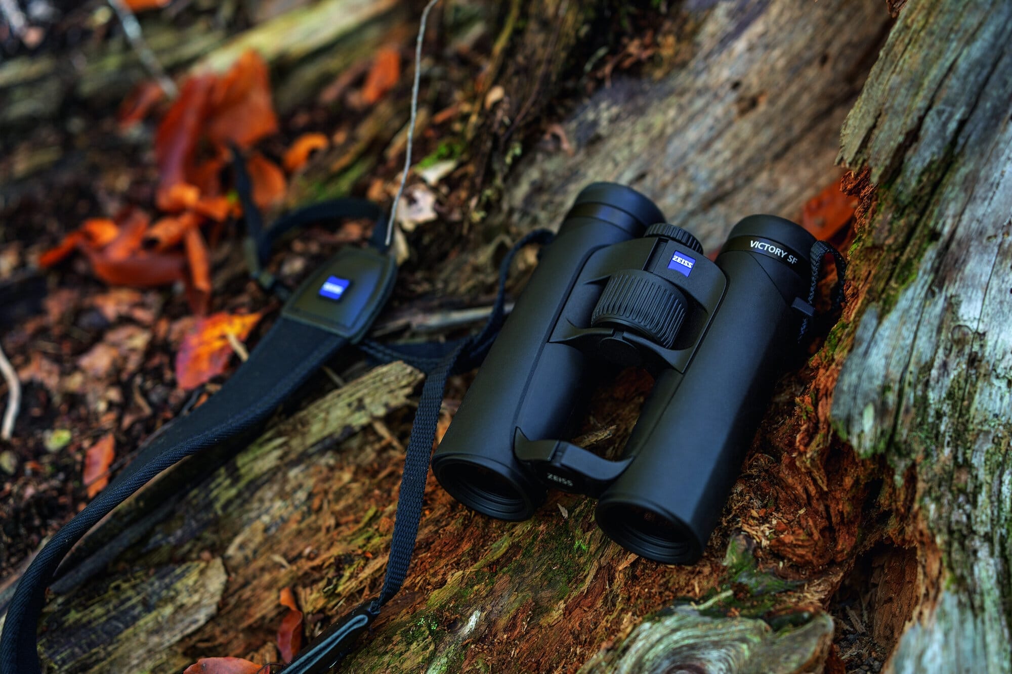 Fieldwork and Technology