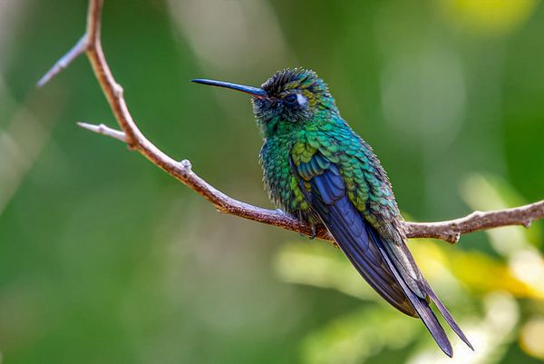 Beyond the Spotlight: Our Commitment to the Unseen