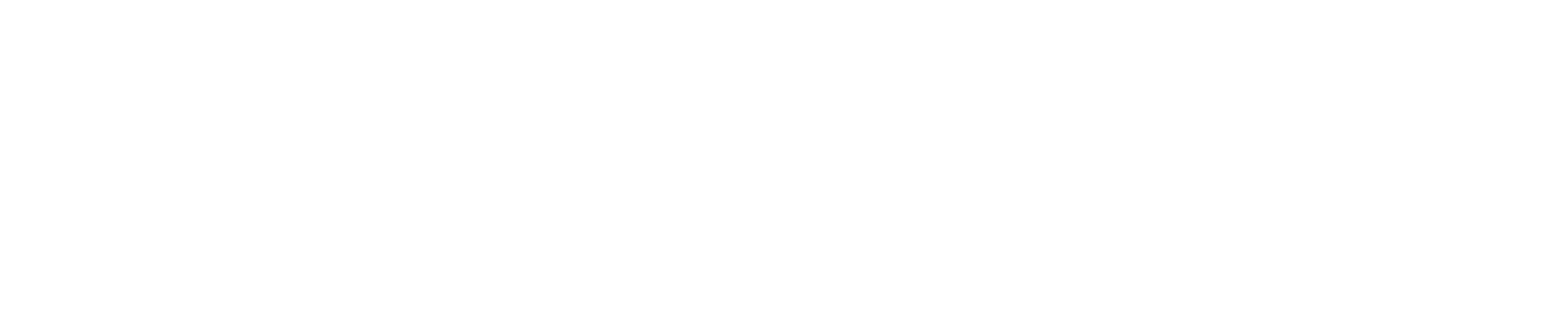 The Business Leader