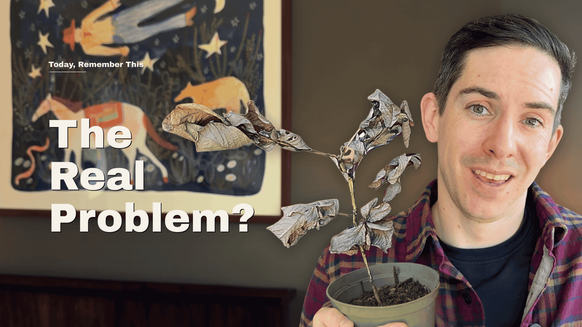 What If You're Solving the Wrong Problem?