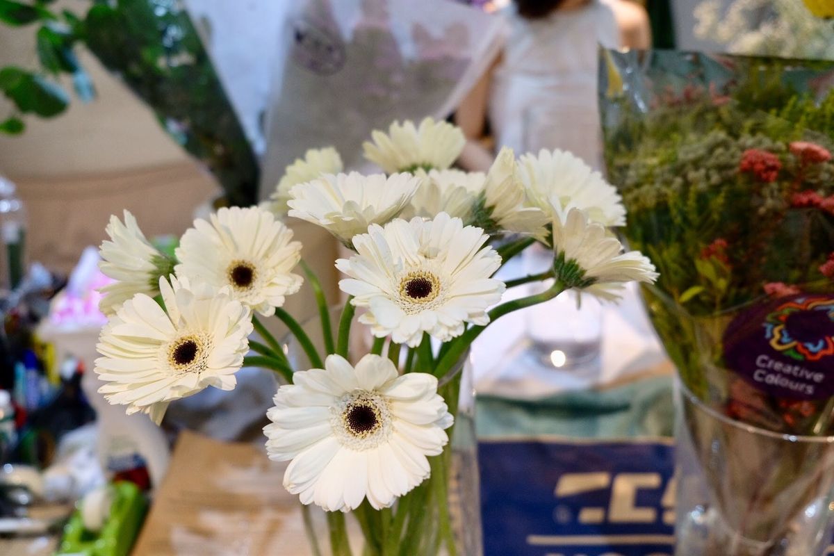 Gerbera