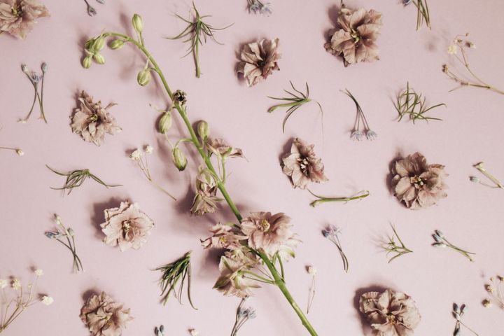 ถ้าทำร้านดอกไม้สด ต้องรู้จัก เอทิลีน